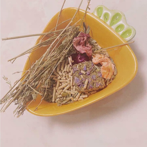 Brand new Carrot Bowl for Small Animals - bunnies,chinchillas - Picture 1 of 3